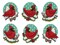 Design Works Counted Cross Stitch Kit 3"X3.5" Set of 6-Cardinals Ornament